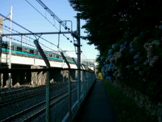 16.88:320:240:0:0:320(W)×240(H) 16.88:center:1:1::